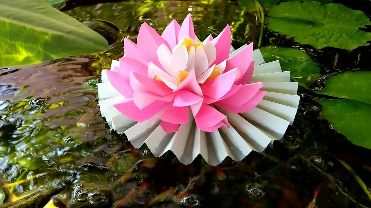 How to make Lotus Flower Thaitrick